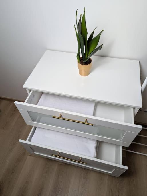 Cool Apartment 兹诺伊莫 外观 照片